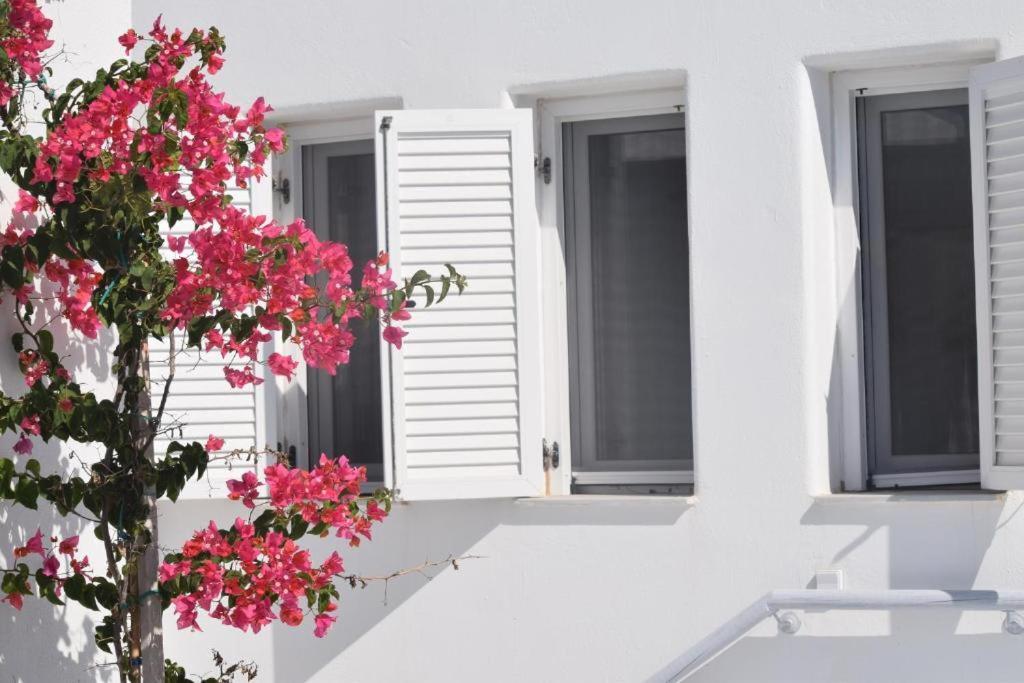 Sea Paradise - Seaside & Private Jacuzzi Oia